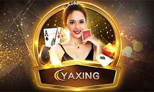 317 bet top bet cassino entretenimento