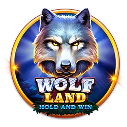 317 bet baiha cassino entretenimento